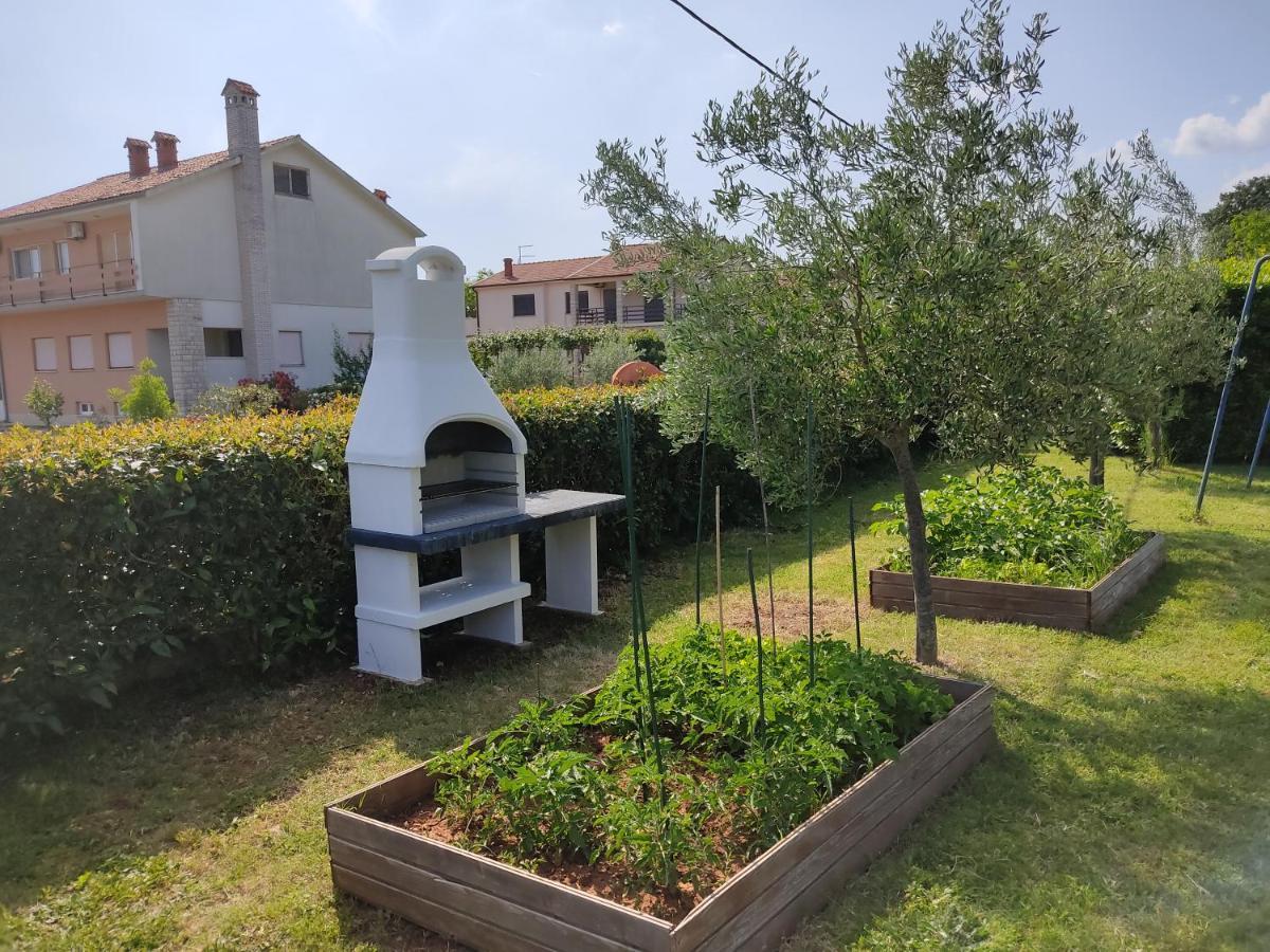 Two-Bedroom Countryside Apartment Marčana エクステリア 写真